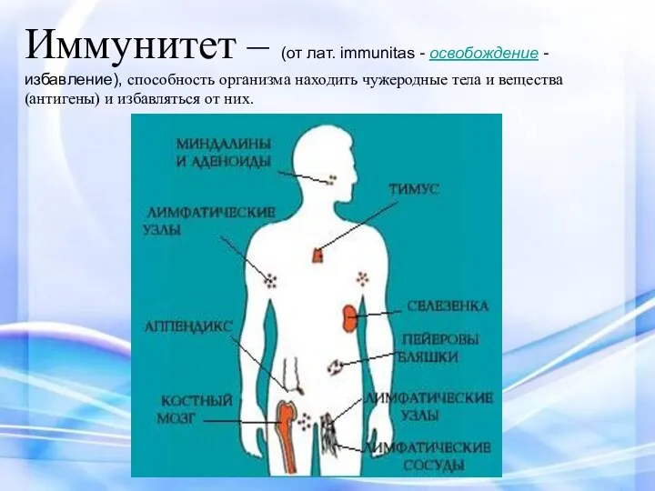 Иммунитет – (от лат. immunitas - освобождение - избавление), способность организма