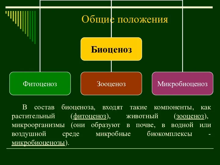 Общие положения В состав биоценоза, входят такие компоненты, как растительный (фитоценоз),