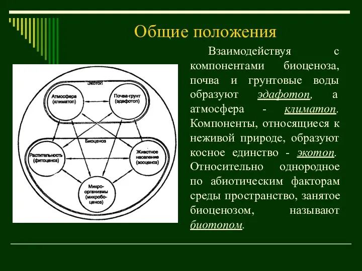 Общие положения Взаимодействуя с компонентами биоценоза, почва и грунтовые воды образуют