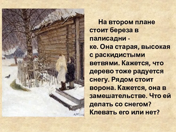 На втором плане стоит береза в палисадни - ке. Она старая,