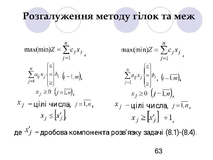 Розгалуження методу гілок та меж