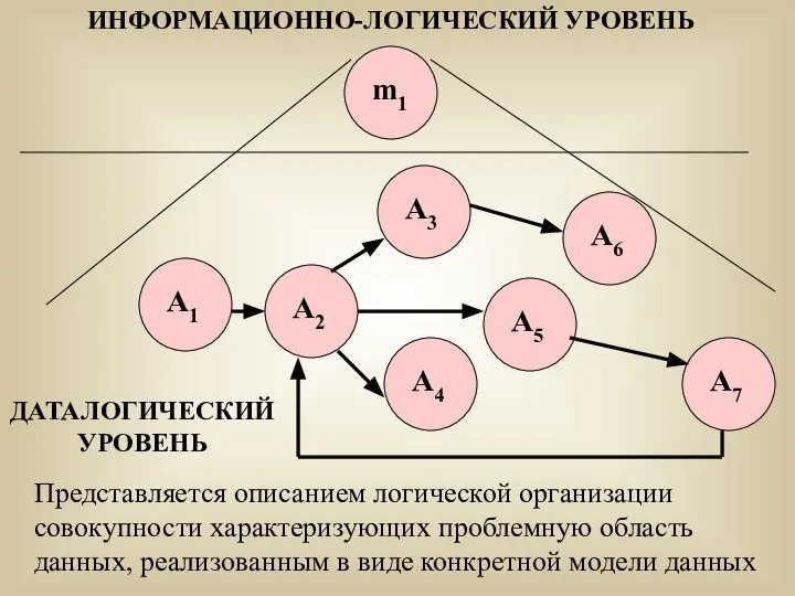 Представляется описанием логической организации совокупности характеризующих проблемную область данных, реализованным в виде конкретной модели данных