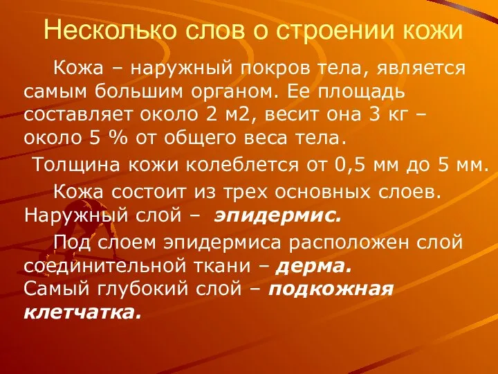 Несколько слов о строении кожи Кожа – наружный покров тела, является