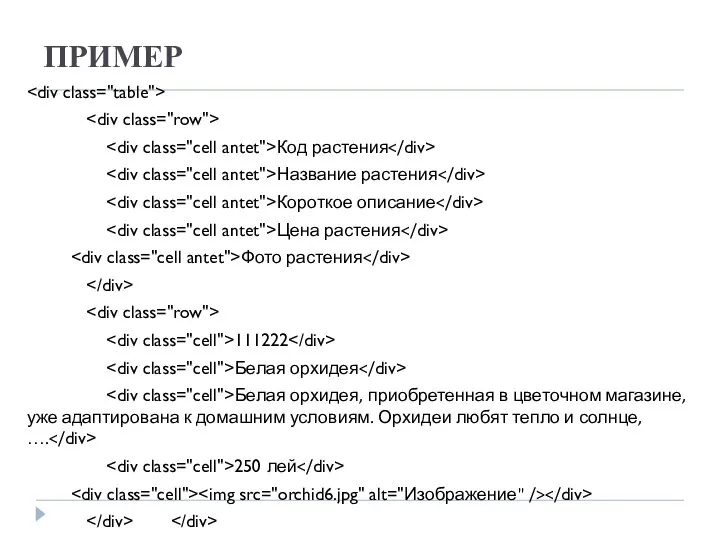 ПРИМЕР Код растения Название растения Короткое описание Цена растения Фото растения
