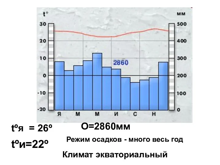 tºя = 26º tºи=22º О=2860мм Режим осадков - много весь год Климат экваториальный