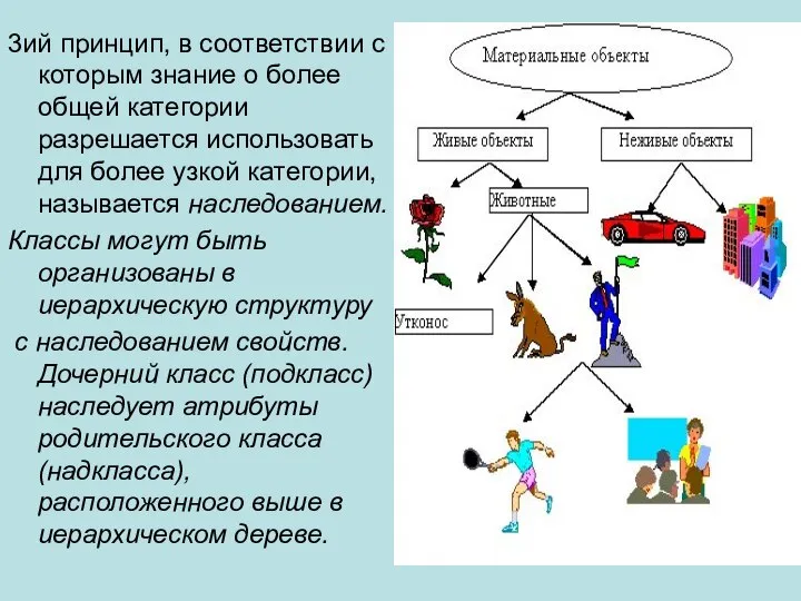 3ий принцип, в соответствии с которым знание о более общей категории