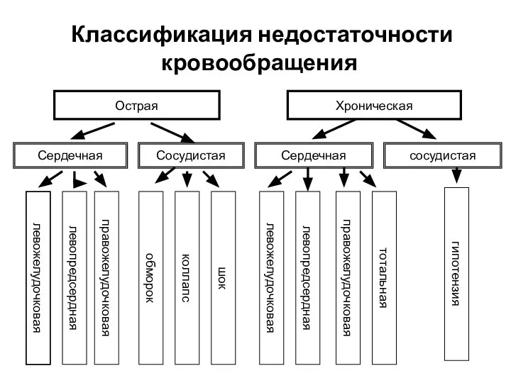 Классификация недостаточности кровообращения Острая Хроническая Сердечная Сосудистая Сердечная сосудистая левожелудочковая левопредсердная