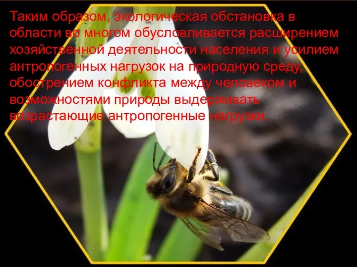 Таким образом, экологическая обстановка в области во многом обусловливается расширением хозяйственной