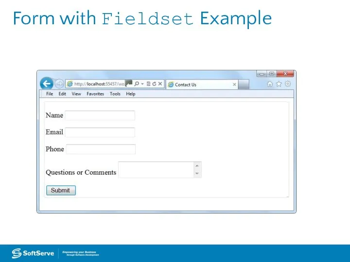 Form with Fieldset Example