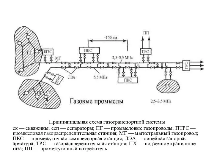 Принципиальная схема газотранспортной системы ск — скважины; сеп — сепараторы; ПГ