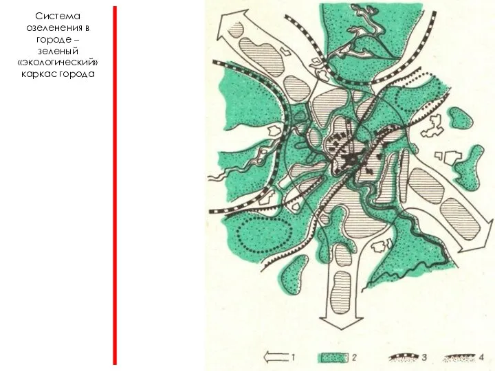 Система озеленения в городе – зеленый «экологический» каркас города