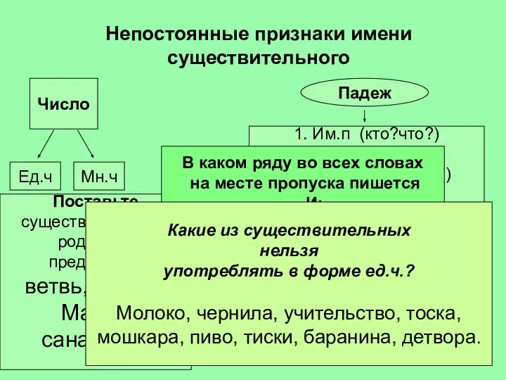 Непостоянные признаки имени существительного Число Мн.ч Ед.ч Падеж 1. Им.п (кто?что?)