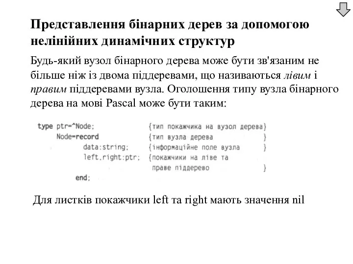 Представлення бінарних дерев за допомогою нелінійних динамічних структур Будь-який вузол бінарного