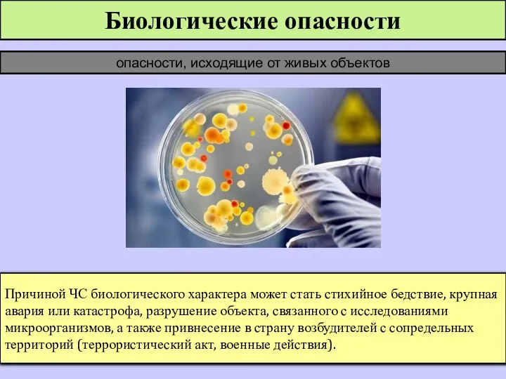 Биологические опасности опасности, исходящие от живых объектов Причиной ЧС биологического характера