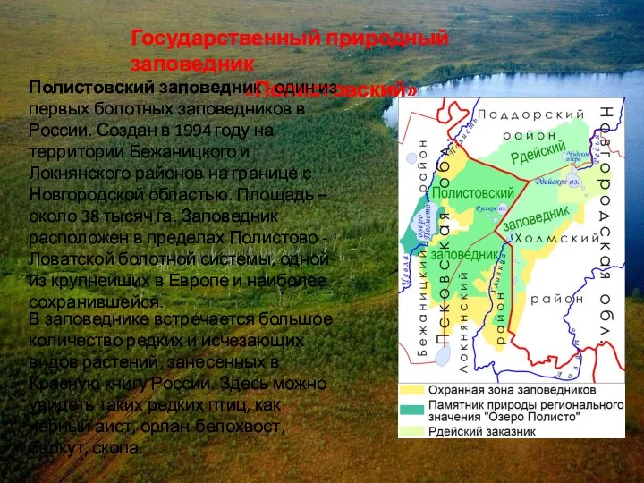 Государственный природный заповедник «Полистовский» Полистовский заповедник - один из первых болотных