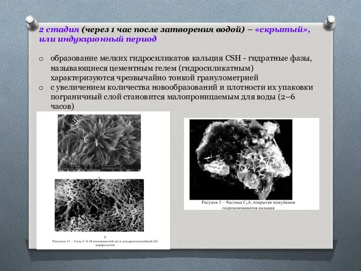 2 стадия (через 1 час после затворения водой) – «скрытый», или