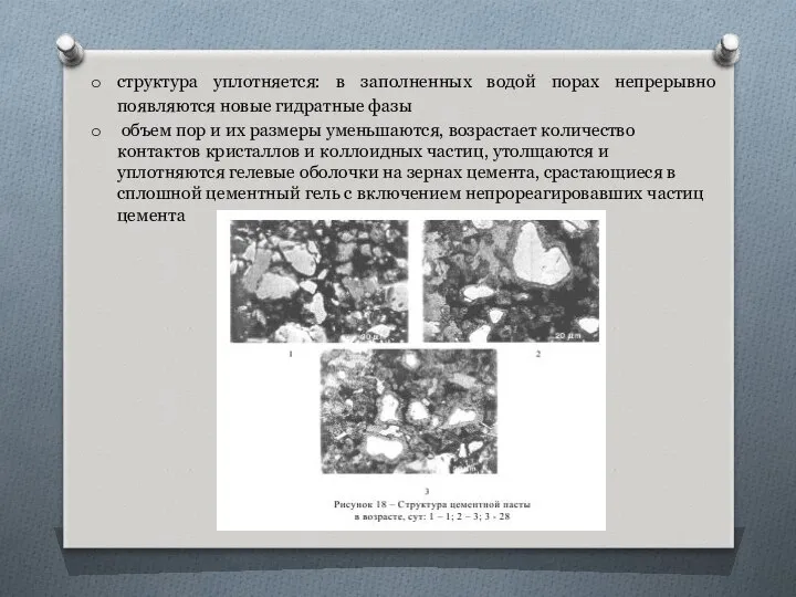 структура уплотняется: в заполненных водой порах непрерывно появляются новые гидратные фазы