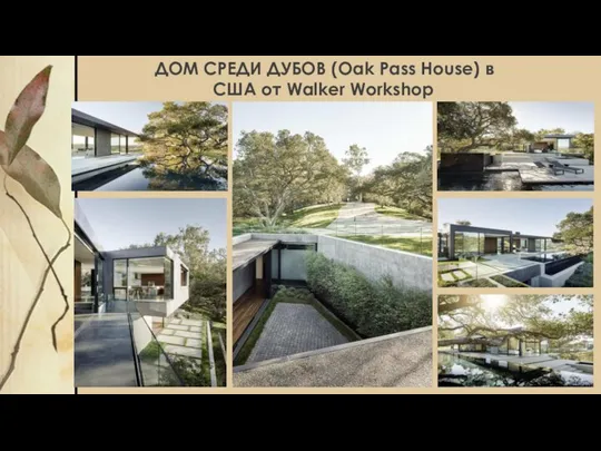 ДОМ СРЕДИ ДУБОВ (Oak Pass House) в США от Walker Workshop