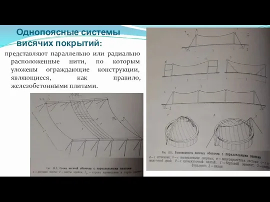 Однопоясные системы висячих покрытий: представляют параллельно или радиально расположенные нити, по