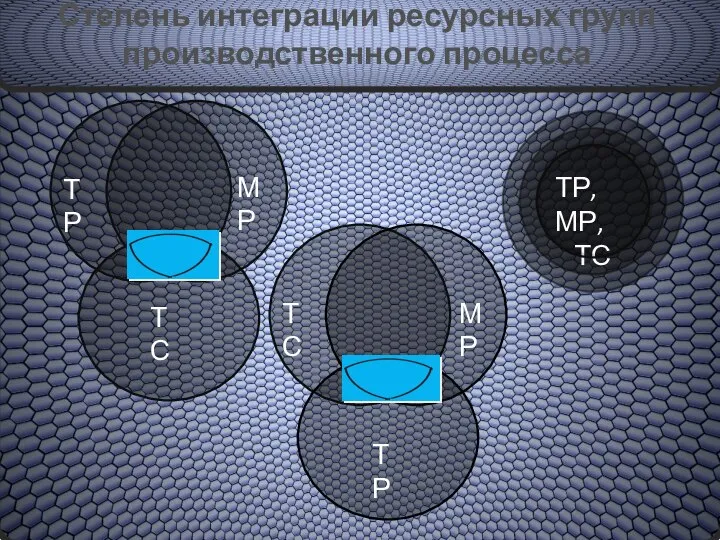 Степень интеграции ресурсных групп Степень интеграции ресурсных групп производственного процесса
