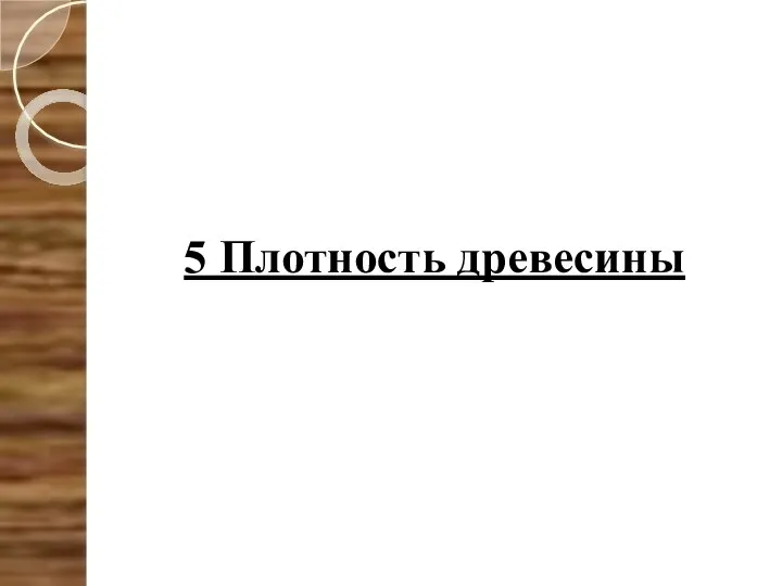 5 Плотность древесины