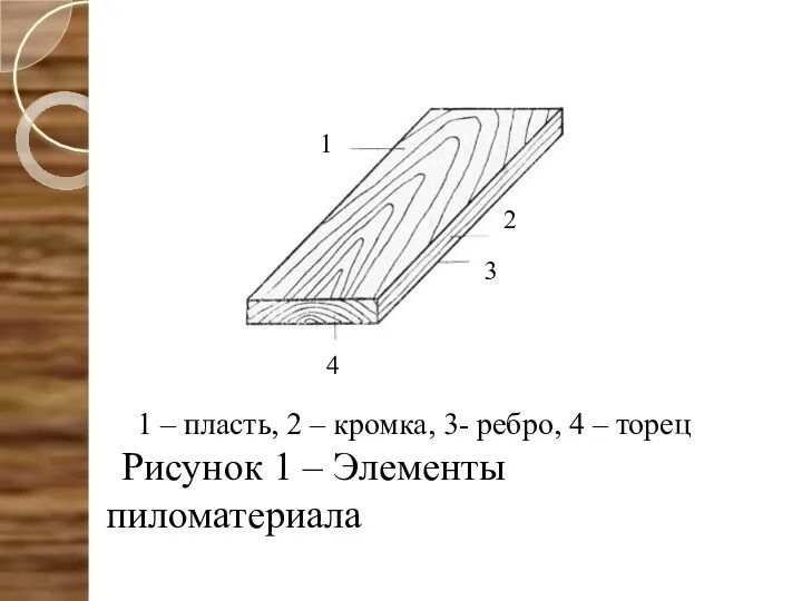 1 – пласть, 2 – кромка, 3- ребро, 4 – торец