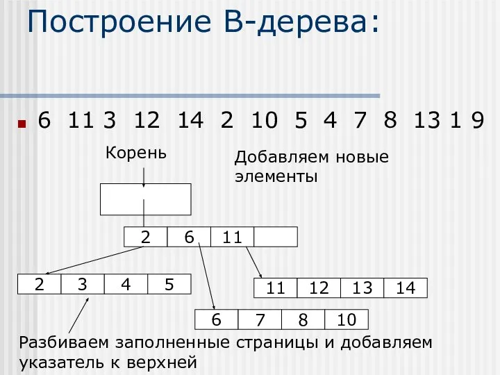 Построение В-дерева: 6 11 3 12 14 2 10 5 4