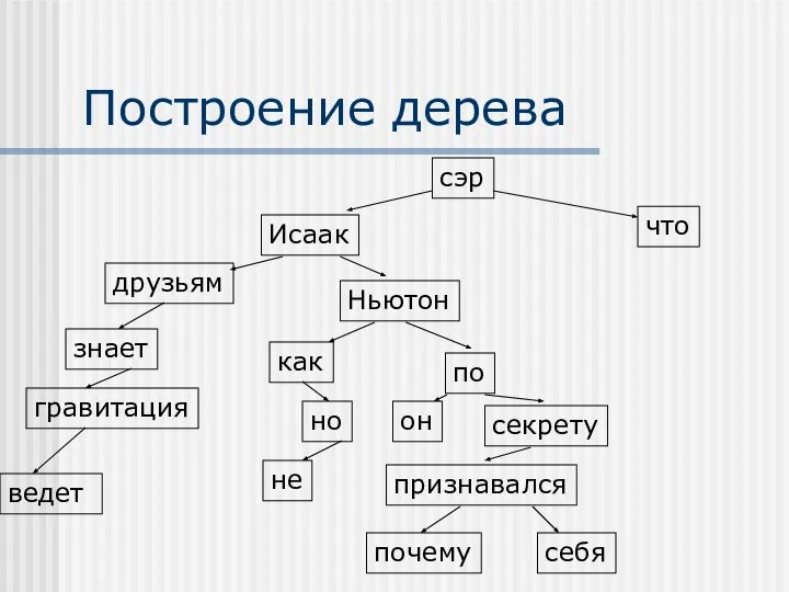 Построение дерева сэр