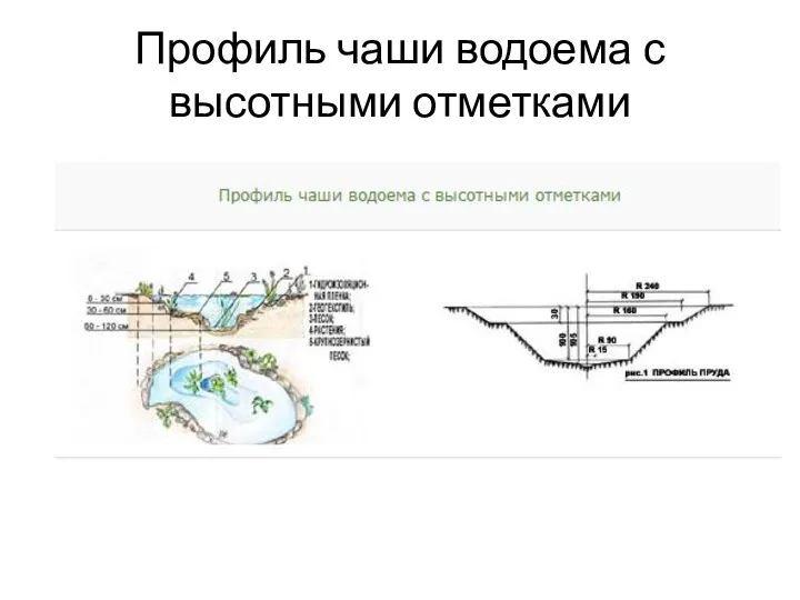 Профиль чаши водоема с высотными отметками