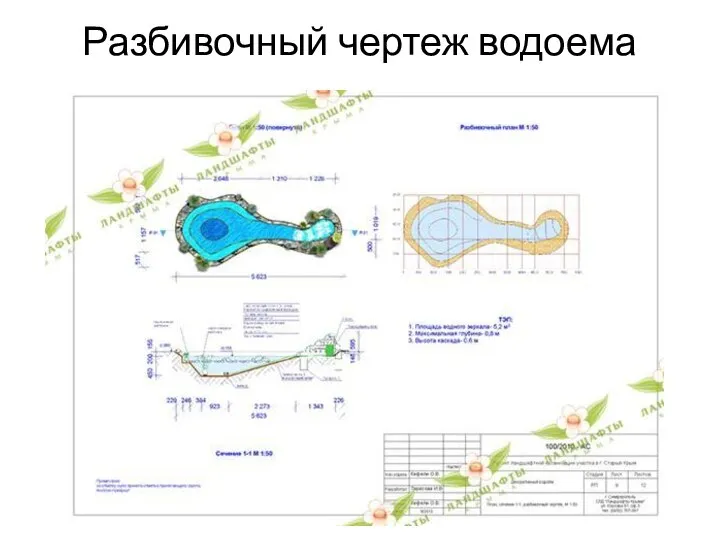 Разбивочный чертеж водоема