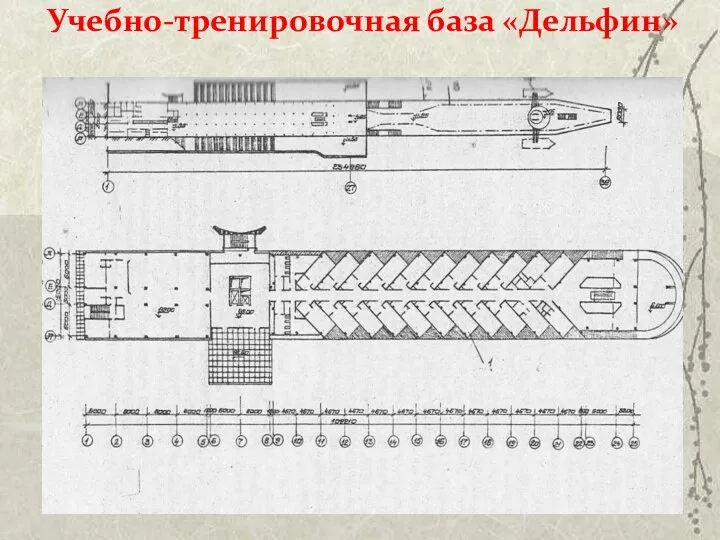 Учебно-тренировочная база «Дельфин»