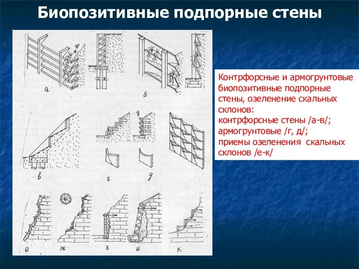 Биопозитивные подпорные стены Контрфорсные и армогрунтовые биопозитивные подпорные стены, озеленение скальных