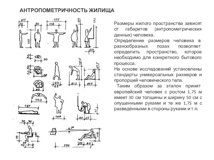 АНТРОПОМЕТРИЧНОСТЬ ЖИЛИЩА Размеры жилого пространства зависят от габаритов (антропометрических данных) человека.