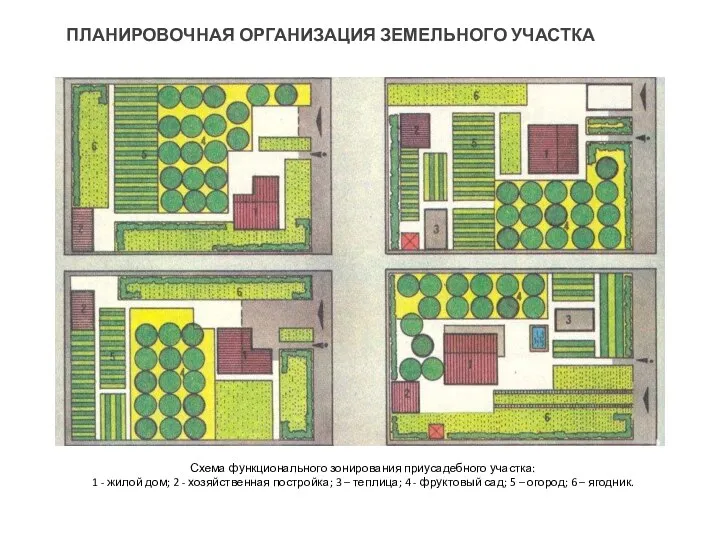 ПЛАНИРОВОЧНАЯ ОРГАНИЗАЦИЯ ЗЕМЕЛЬНОГО УЧАСТКА Схема функционального зонирования приусадебного участка: 1 -