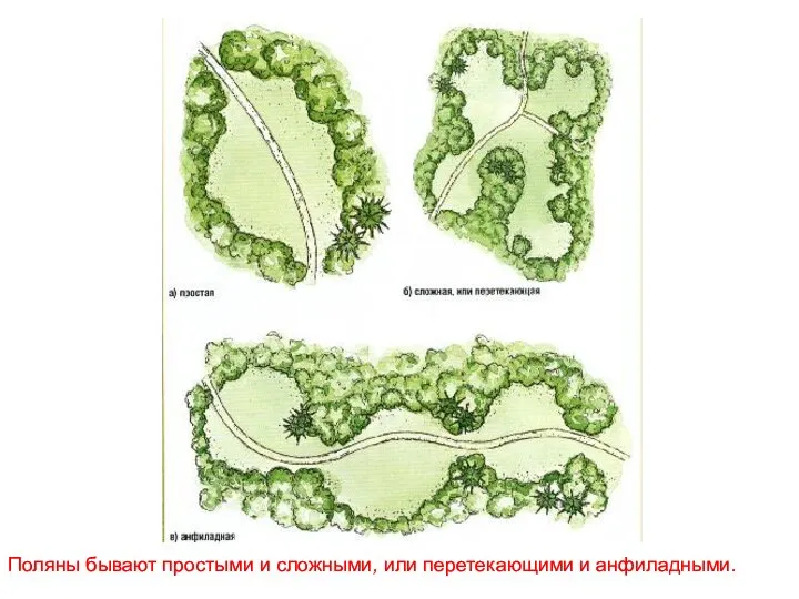 Поляны бывают простыми и сложными, или перетекающими и анфиладными.
