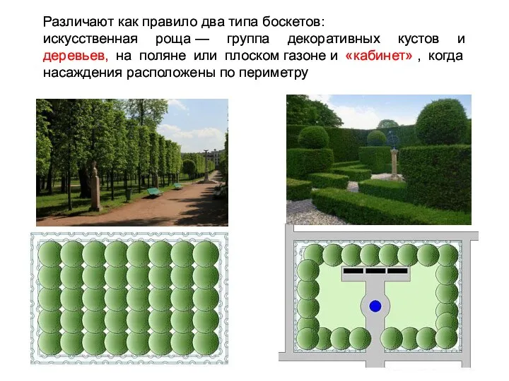 Различают как правило два типа боскетов: искусственная роща — группа декоративных