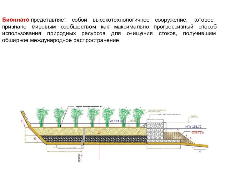 Биоплато представляет собой высокотехнологичное сооружение, которое признано мировым сообществом как максимально