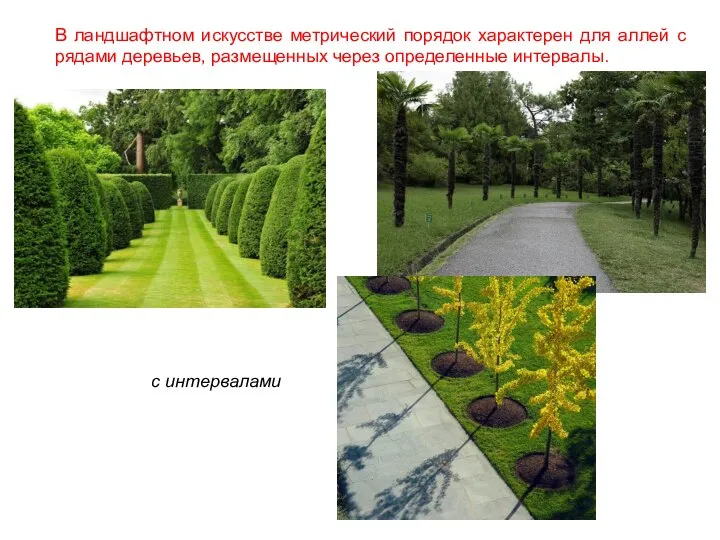 В ландшафтном искусстве метрический порядок характерен для аллей с рядами деревьев,