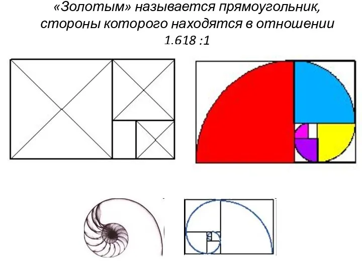 «Золотым» называется прямоугольник, стороны которого находятся в отношении 1.618 :1