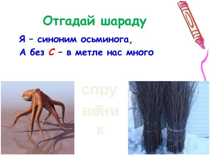 Отгадай шараду Я – синоним осьминога, А без С – в метле нас много спрут веник