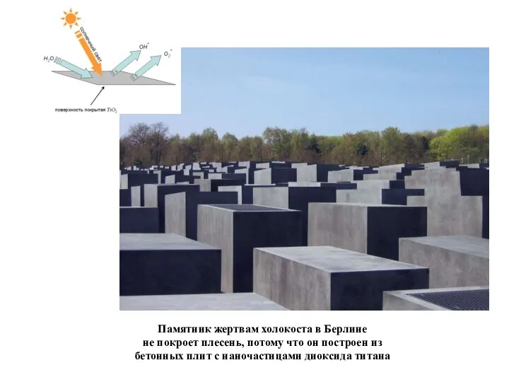 Памятник жертвам холокоста в Берлине не покроет плесень, потому что он