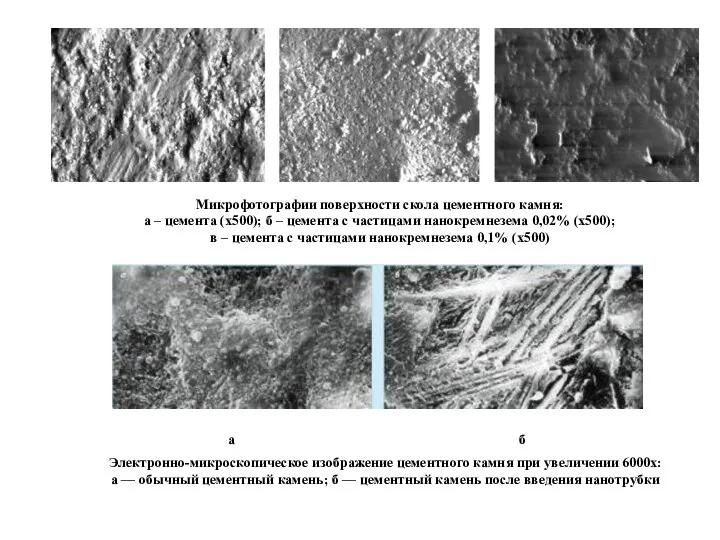 Микрофотографии поверхности скола цементного камня: а – цемента (х500); б –