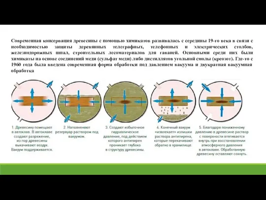 Современная консервация древесины с помощью химикатов развивалась с середины 19-го века