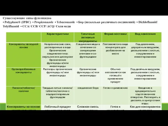 Существующие типы фунгицидов • Polyphase® (IPBC) • Propiconazole • Tebuconazole •