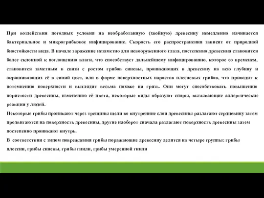 При воздействии погодных условия на необработанную (хвойную) древесину немедленно начинается бактериальное