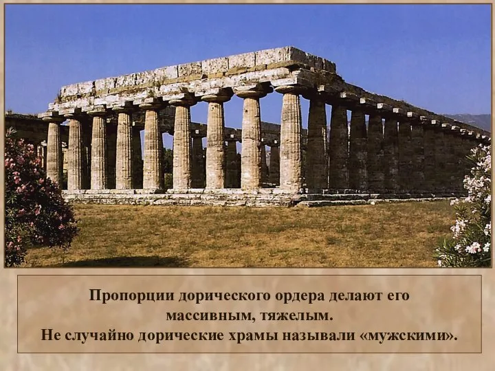 Пропорции дорического ордера делают его массивным, тяжелым. Не случайно дорические храмы называли «мужскими».