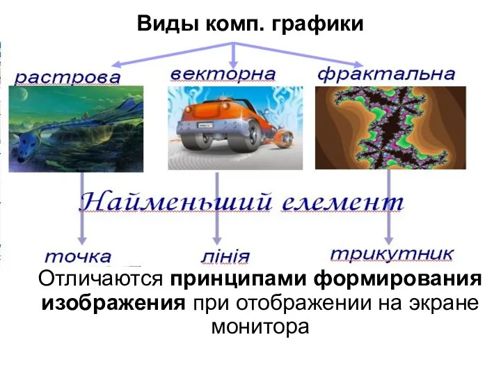 Виды комп. графики Отличаются принципами формирования изображения при отображении на экране монитора