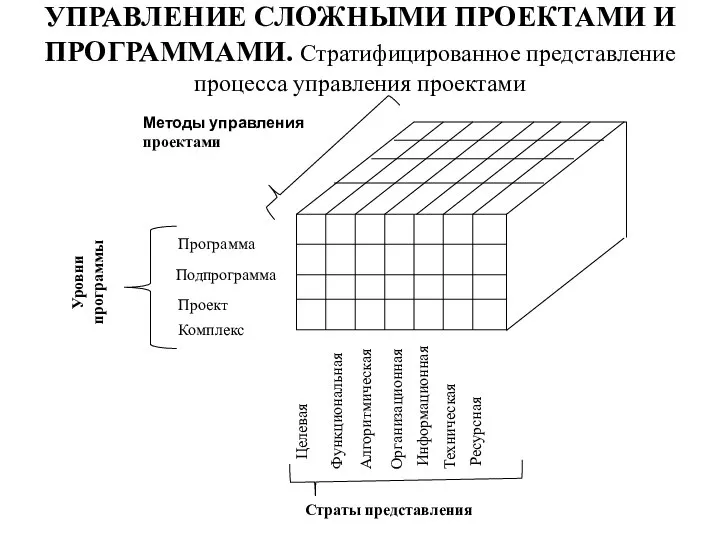 УПРАВЛЕНИЕ СЛОЖНЫМИ ПРОЕКТАМИ И ПРОГРАММАМИ. Стратифицированное представление процесса управления проектами