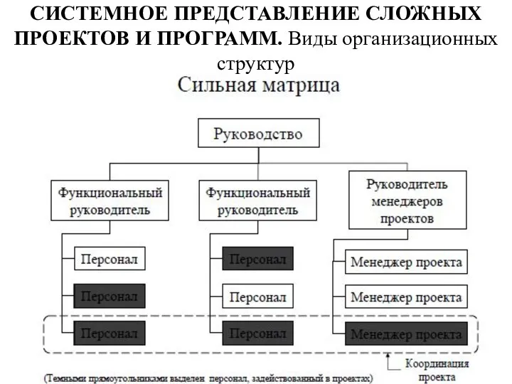 СИСТЕМНОЕ ПРЕДСТАВЛЕНИЕ СЛОЖНЫХ ПРОЕКТОВ И ПРОГРАММ. Виды организационных структур