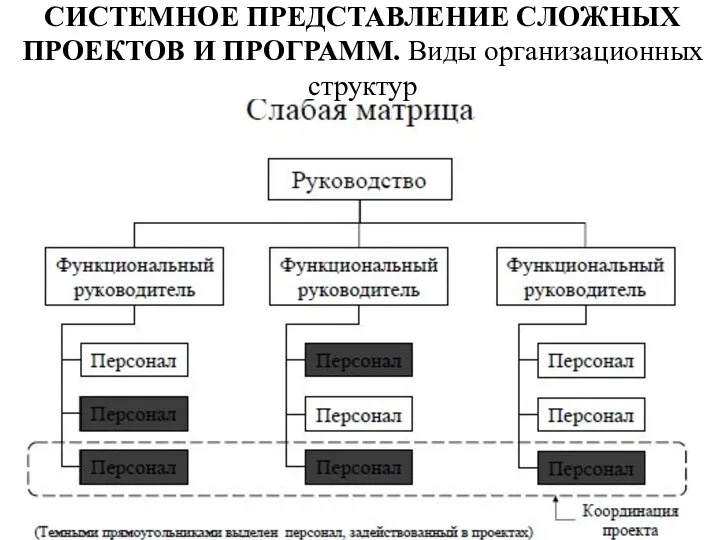 СИСТЕМНОЕ ПРЕДСТАВЛЕНИЕ СЛОЖНЫХ ПРОЕКТОВ И ПРОГРАММ. Виды организационных структур